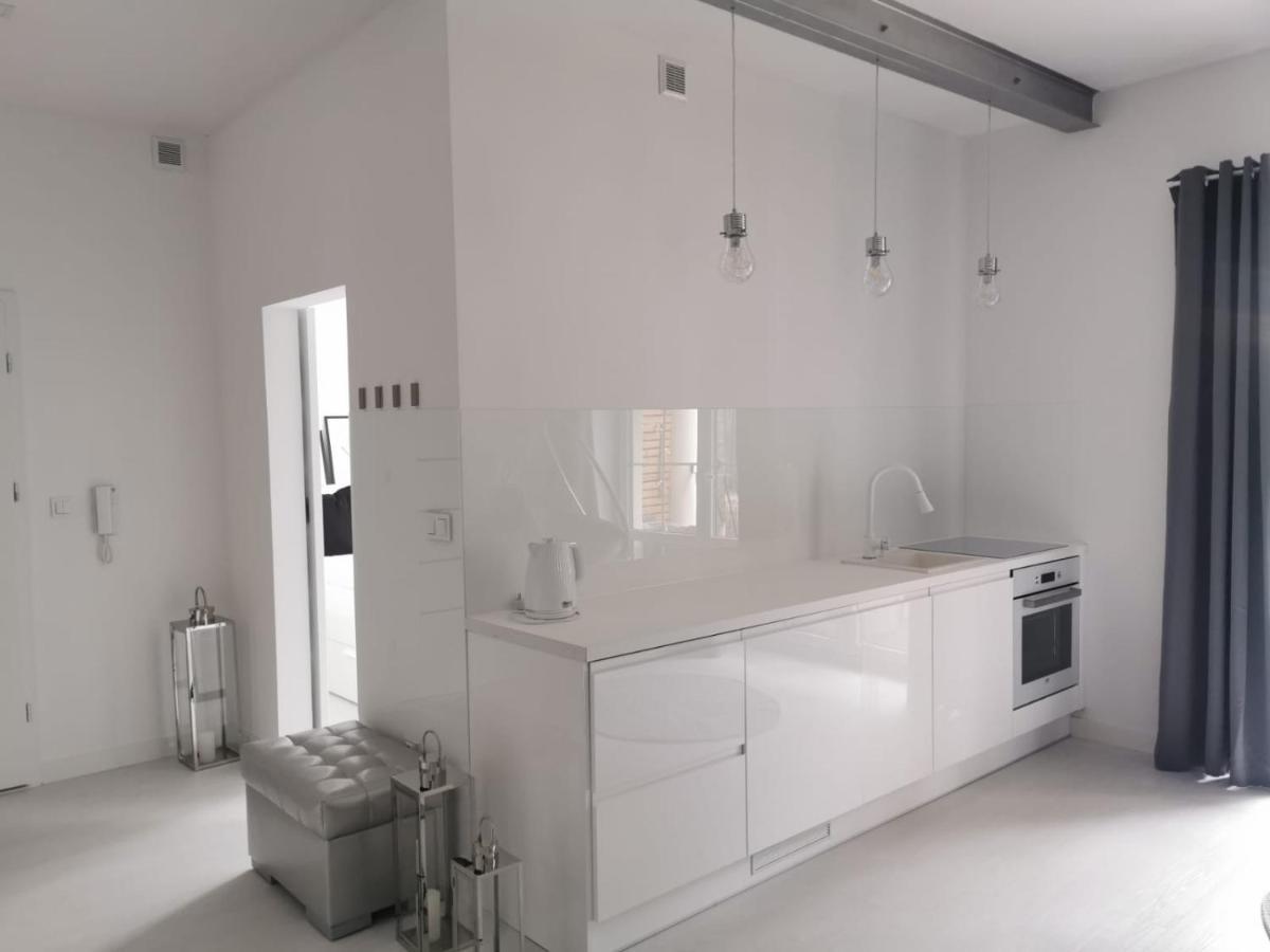 Przytulny Apartament Z Kominkiem Przy Jeziorze 博尔内苏利诺沃 外观 照片